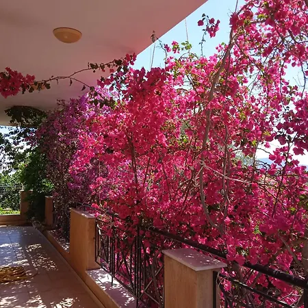 Paulina'S House Daire Politiká Dış mekan fotoğraf
