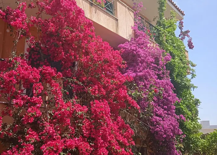 Paulina\'S House